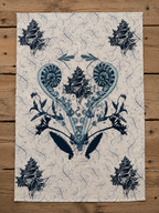 Coastal Specimen Tea Towel – Shell & Fern Illustration | Natural History Kitchen Textile | Victorian Science Inspired