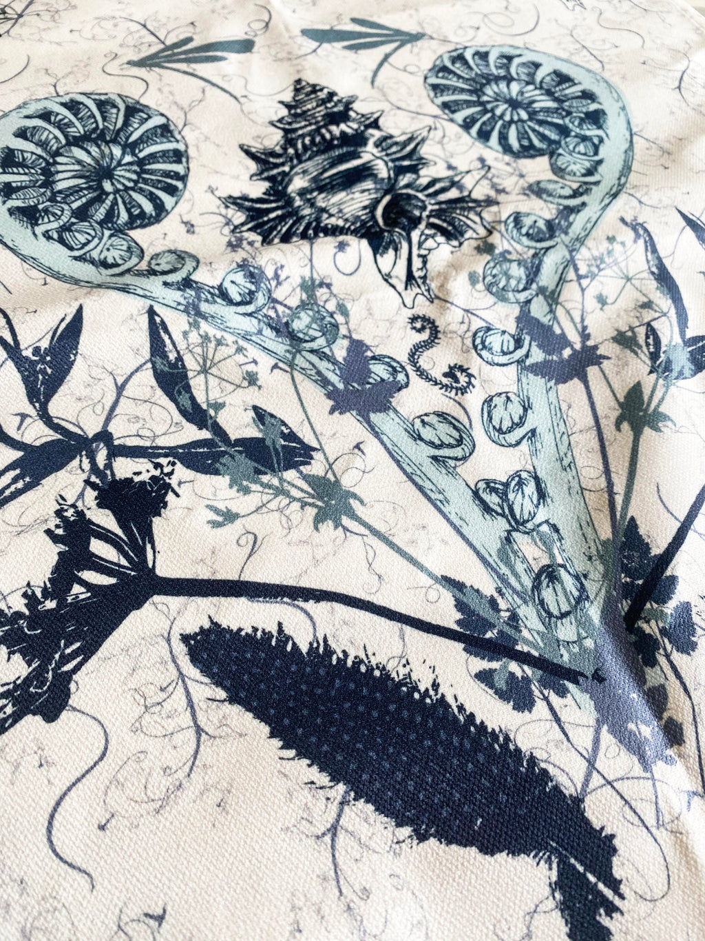 Coastal Specimen Tea Towel – Shell & Fern Illustration | Natural History Kitchen Textile | Victorian Science Inspired